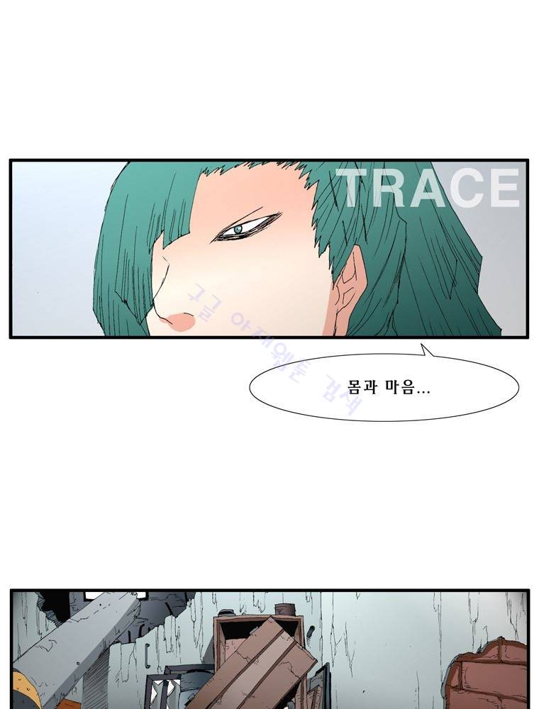 트레이스 장미 3 50