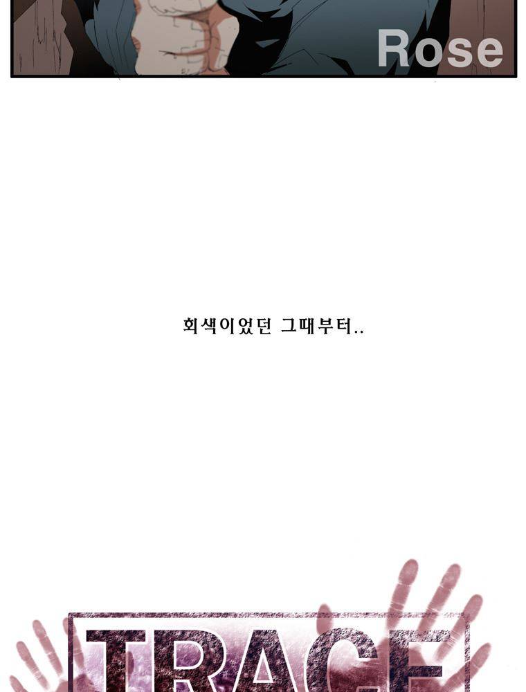 트레이스 장미 3 52