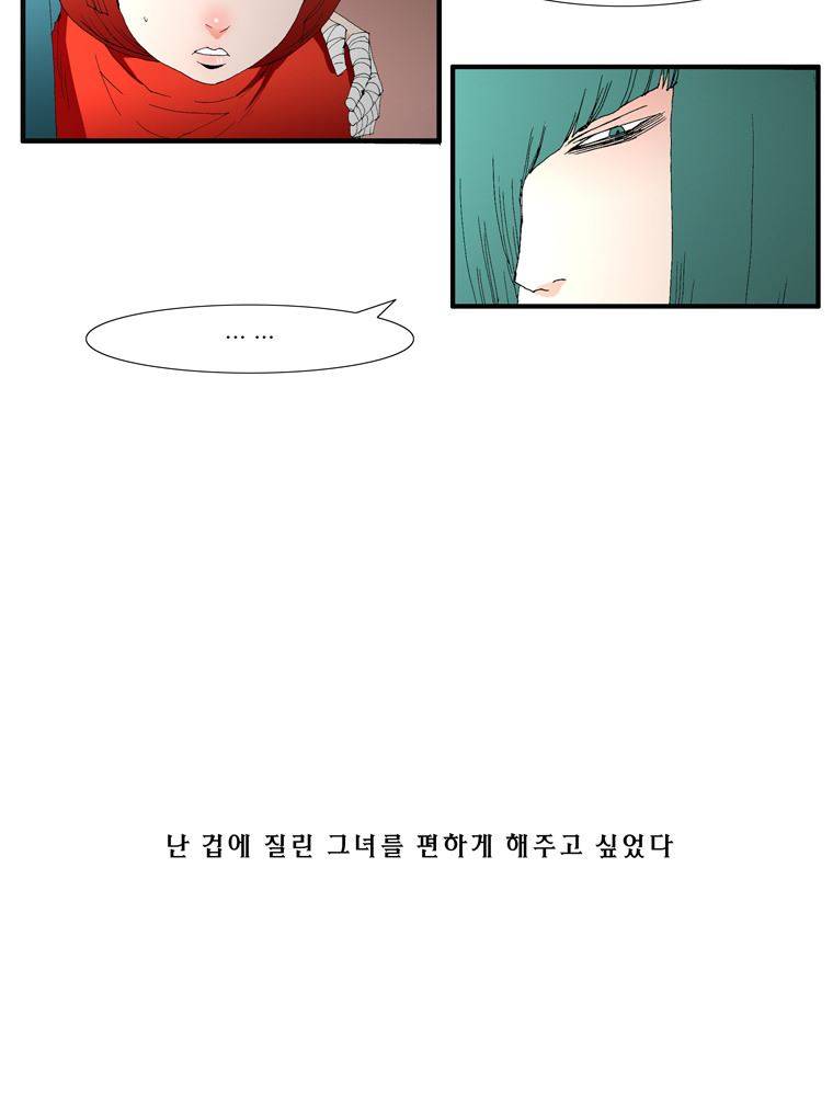 트레이스 장미 24 19