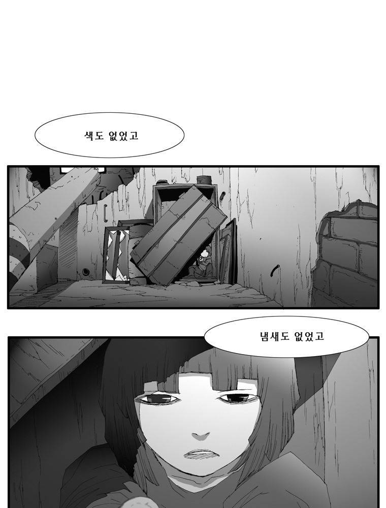트레이스 장미 24 48