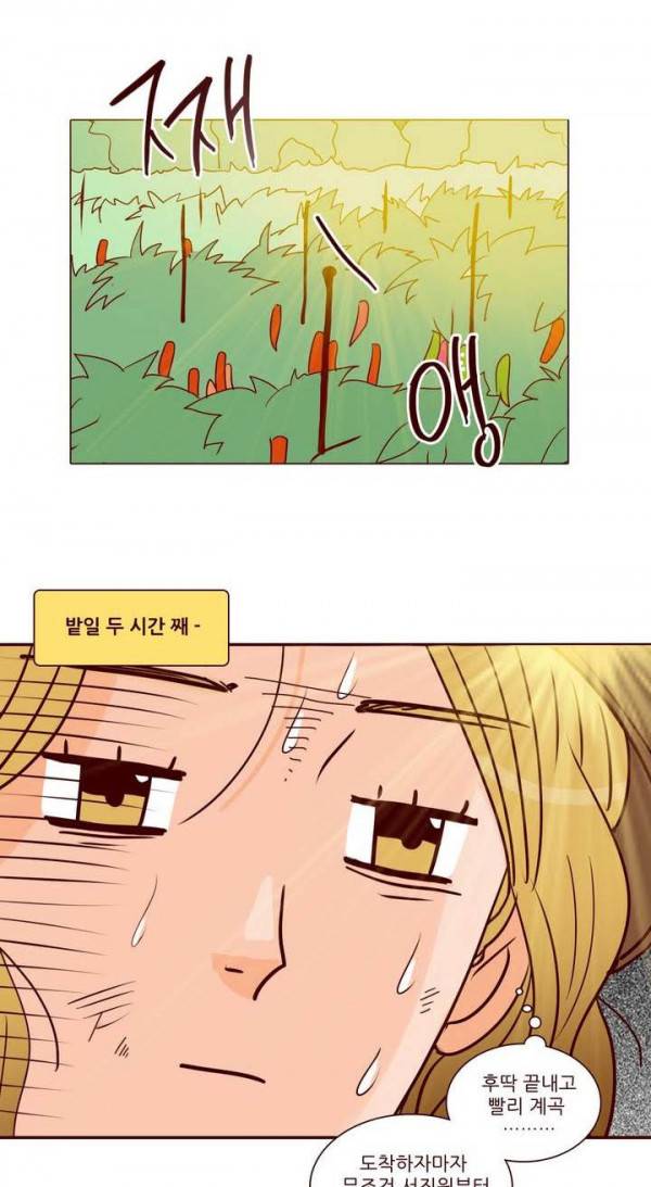 비밀스러운 짝사랑 65화 2