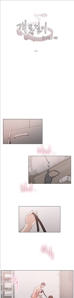 개목걸이 35화 1