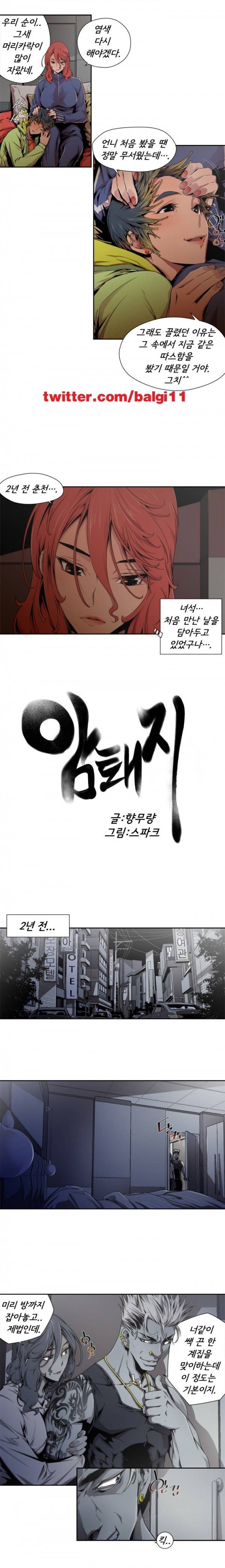 암퇘지 14화 1