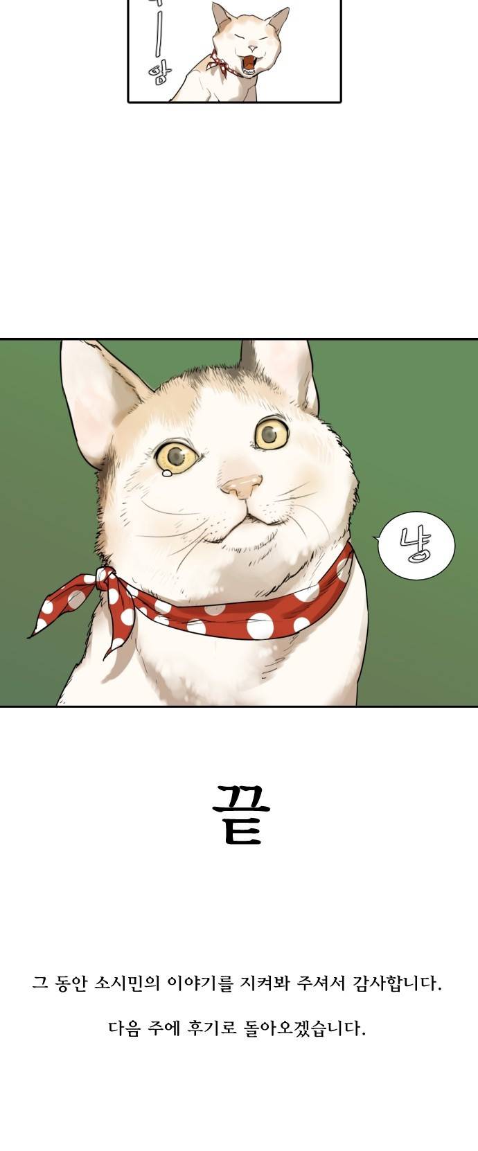 용감한 시민 66화 - 마지막화 31