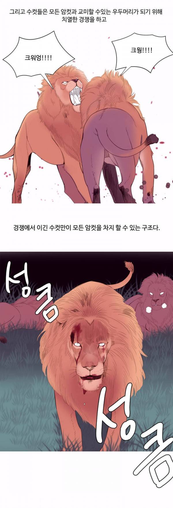 내가 지배하는 세상 9화 11
