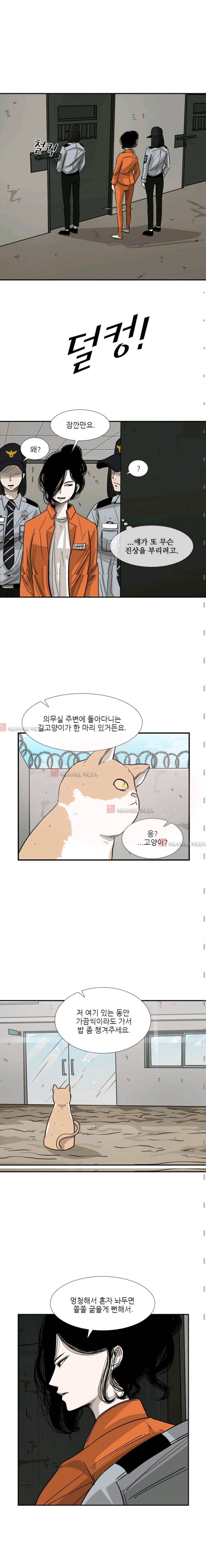 샤크  56화 3