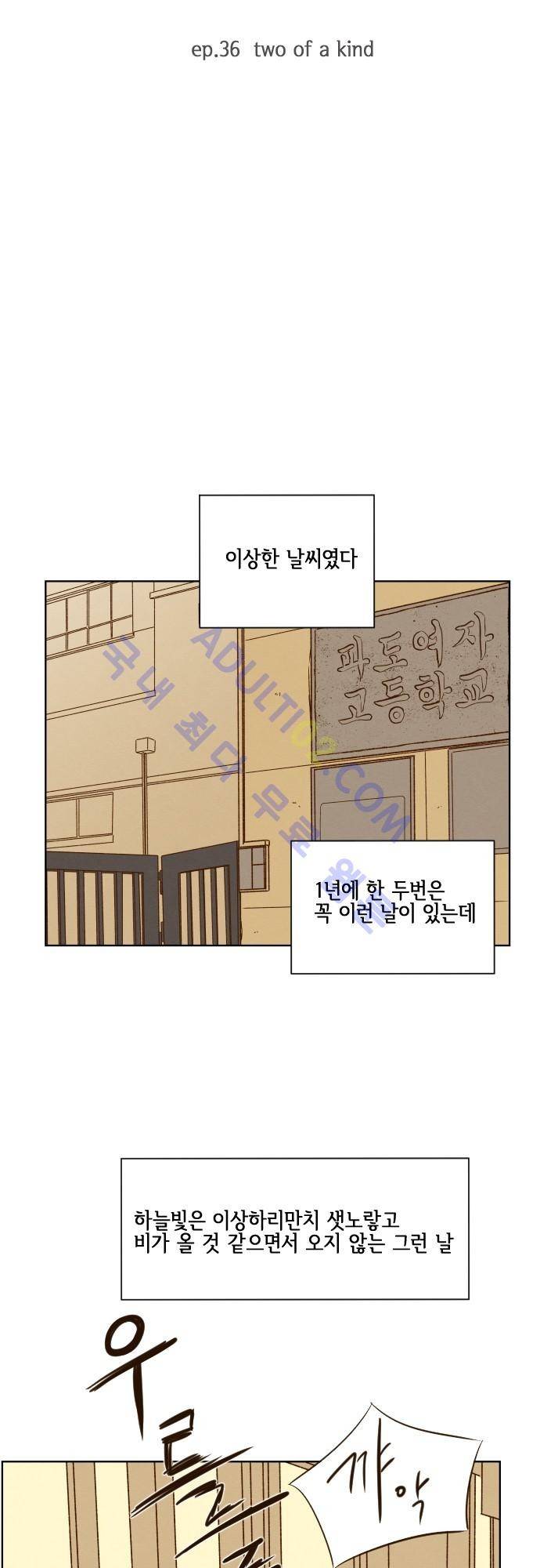 그 해 여름 36화 7