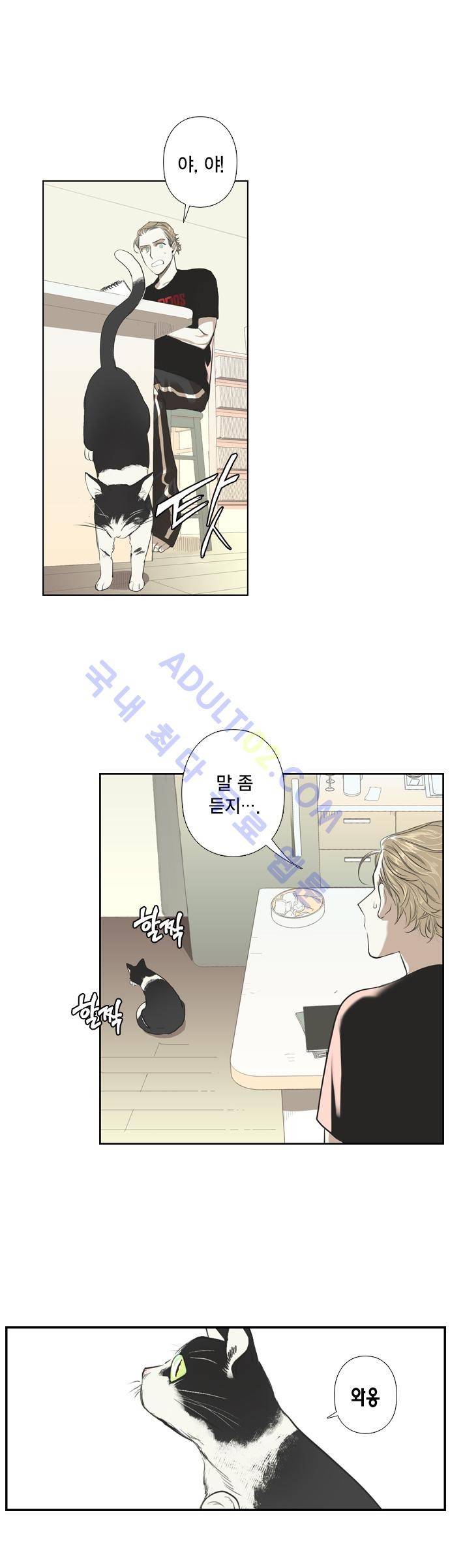 롭플롭 (Loplop) 1화 12