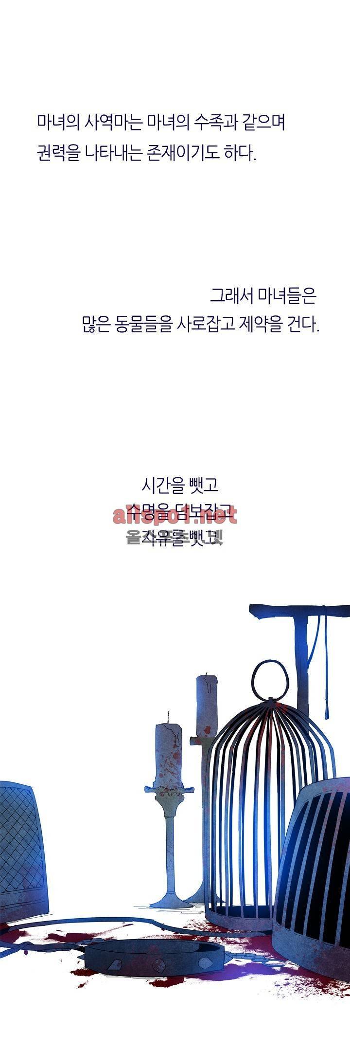 나의 마녀 13화 1