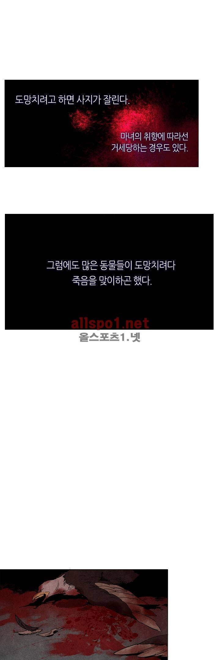 나의 마녀 13화 2