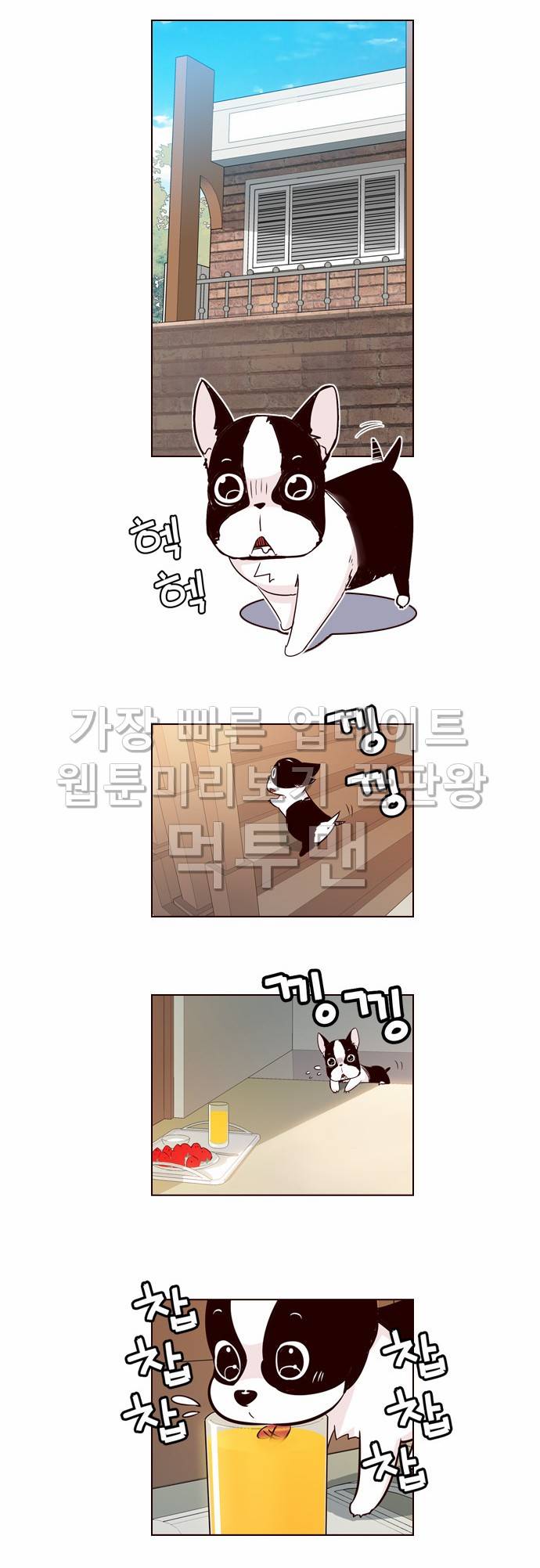 소녀더와일즈 112화 2