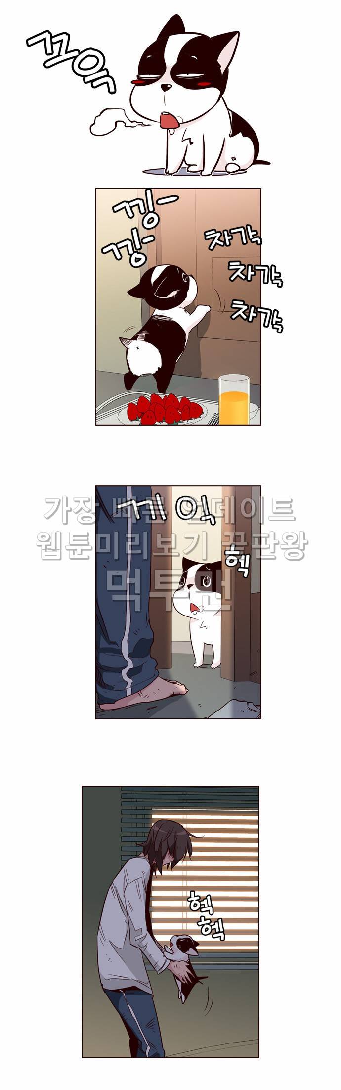 소녀더와일즈 112화 3