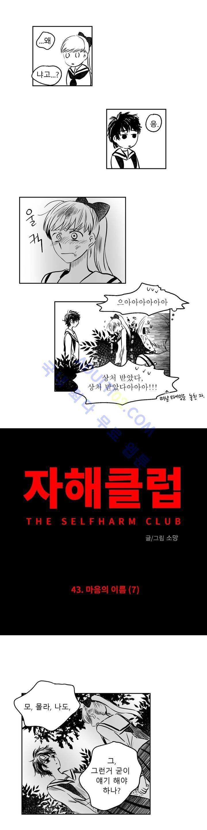 자해클럽 43화 2