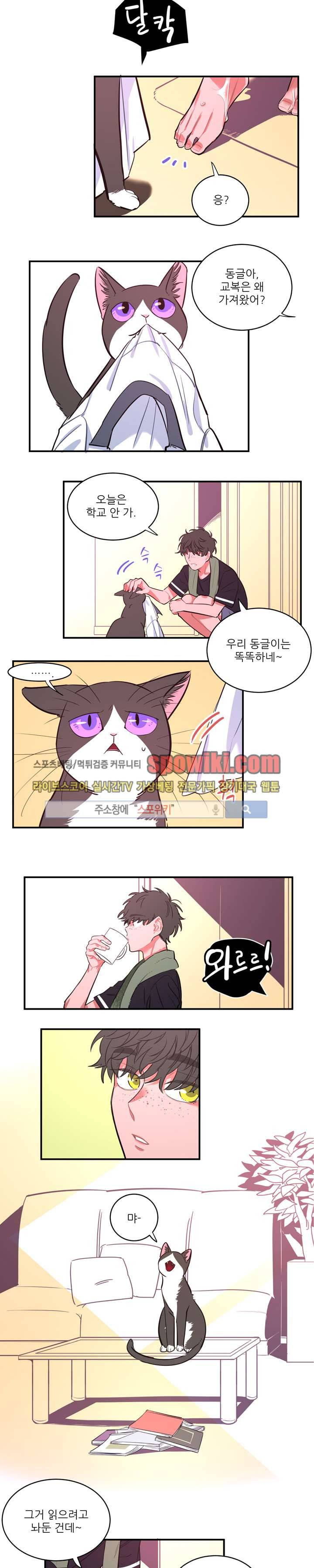 엇갈림의 바다 5화 6
