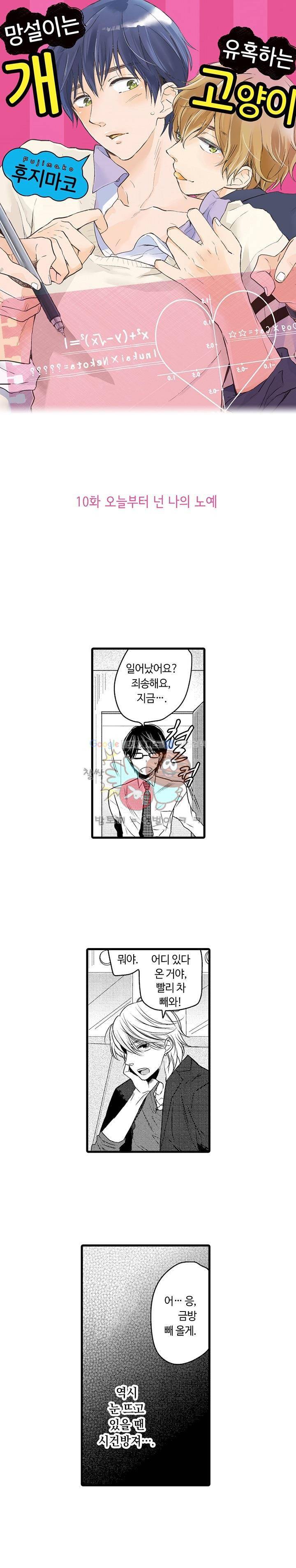 망설이는 개, 유혹하는 고양이 10화 1