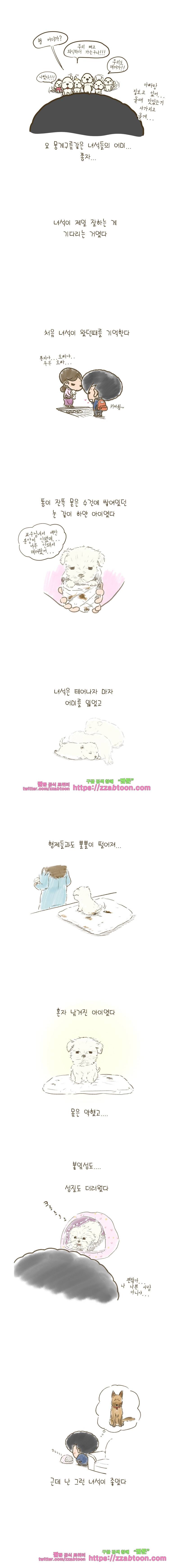 어제 오늘 그리고 내일-76화 쫑자야, 이제 그만 기다려도 돼 2