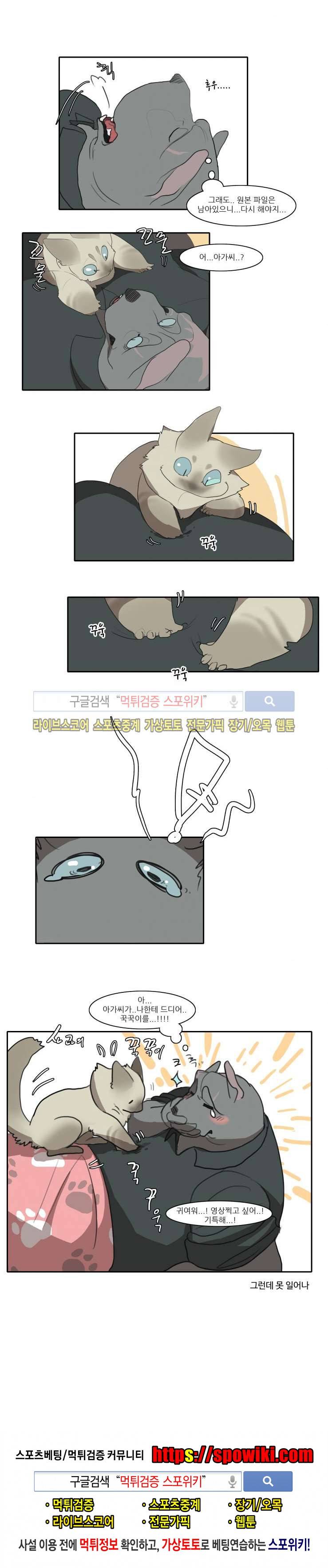 고양이 아가씨와 경호원들 10화 5