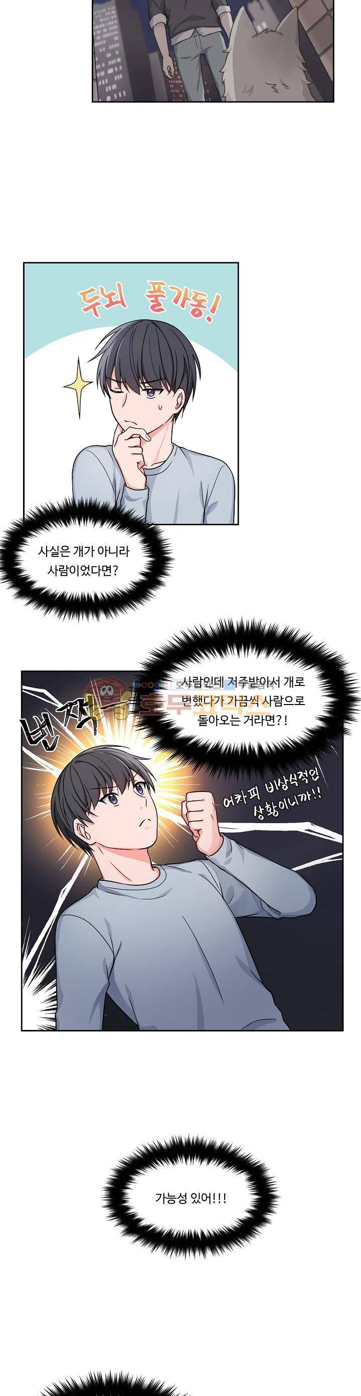 앉아, 기다려, 키스해 12화 5