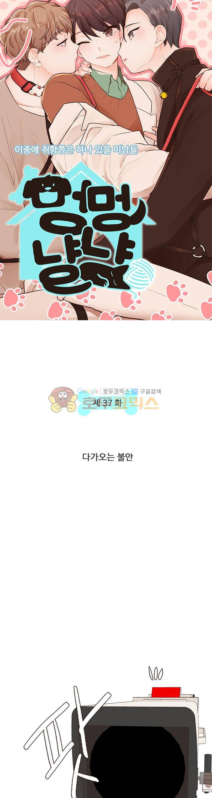 멍멍냥냥 37화 - 다가오는 불안 4