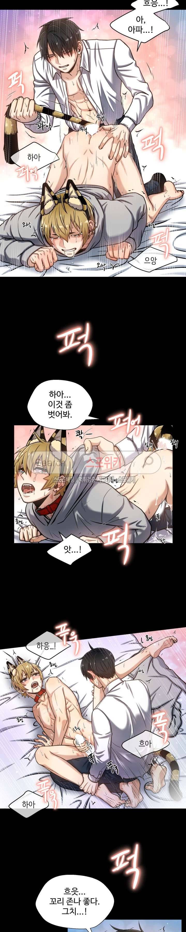 동물의 왕국 외전 16