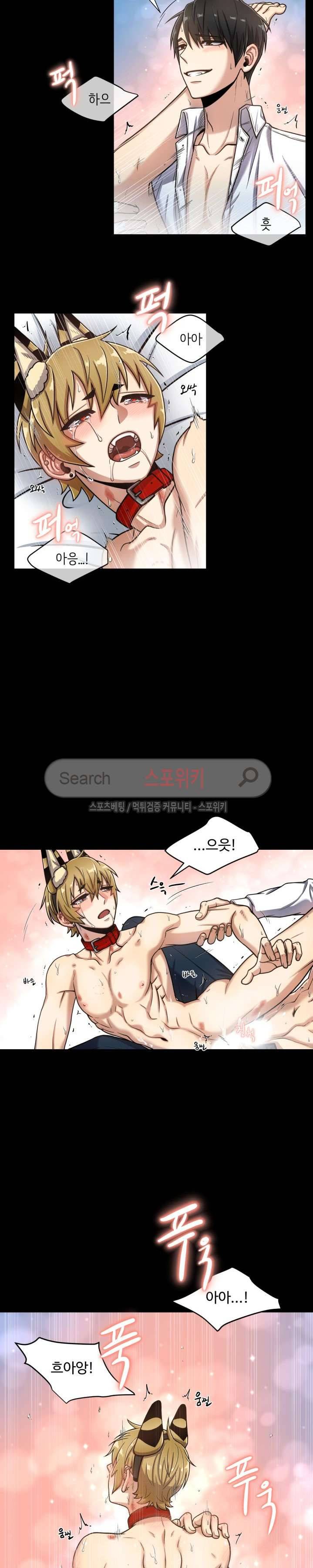 동물의 왕국 외전 17