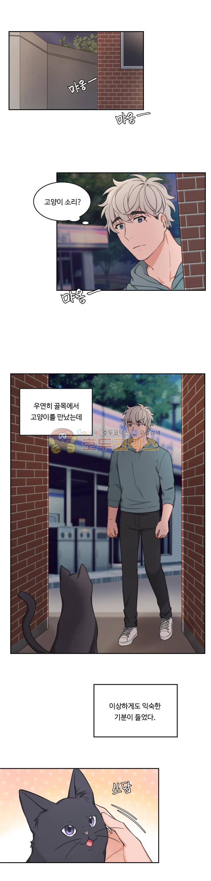 앉아, 기다려, 키스해 - 특별편 <시즌1 완결> 1