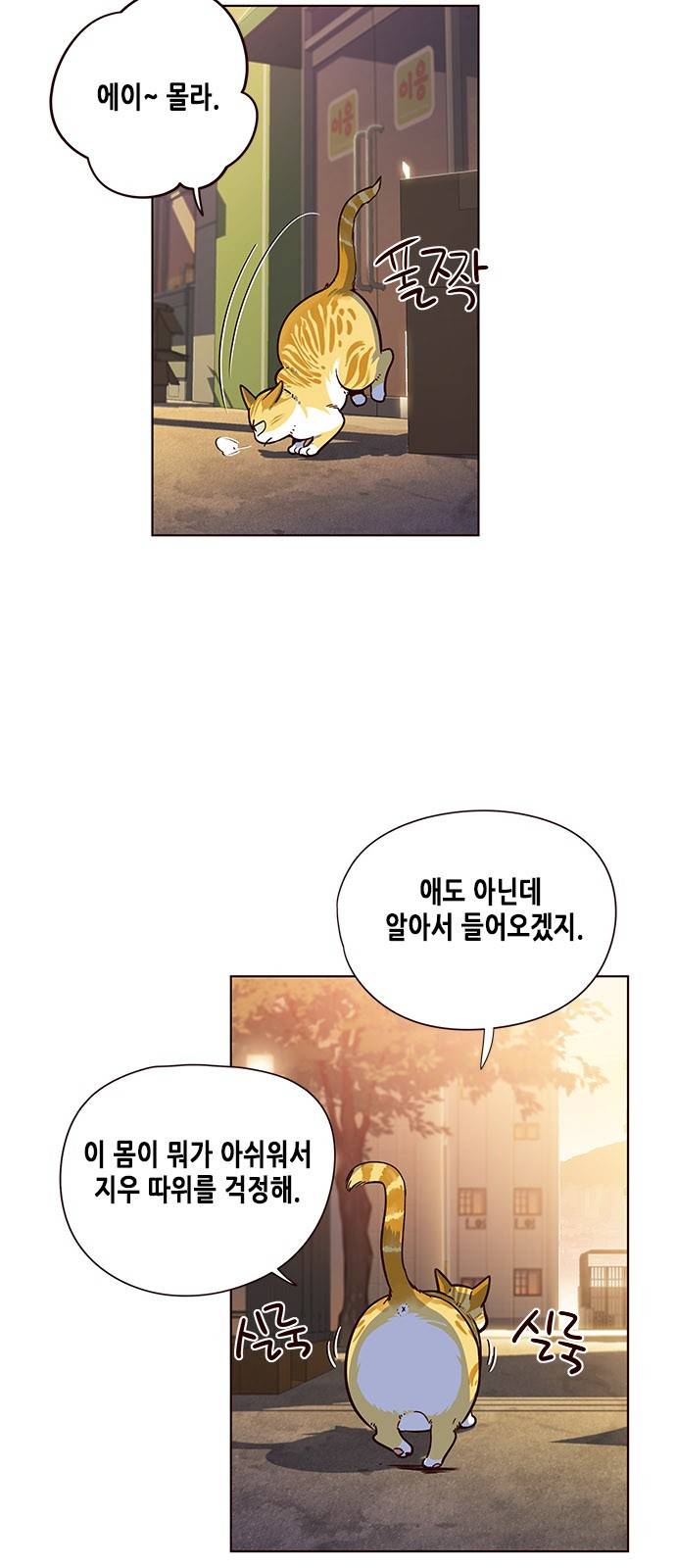 일렉시드 13화 3