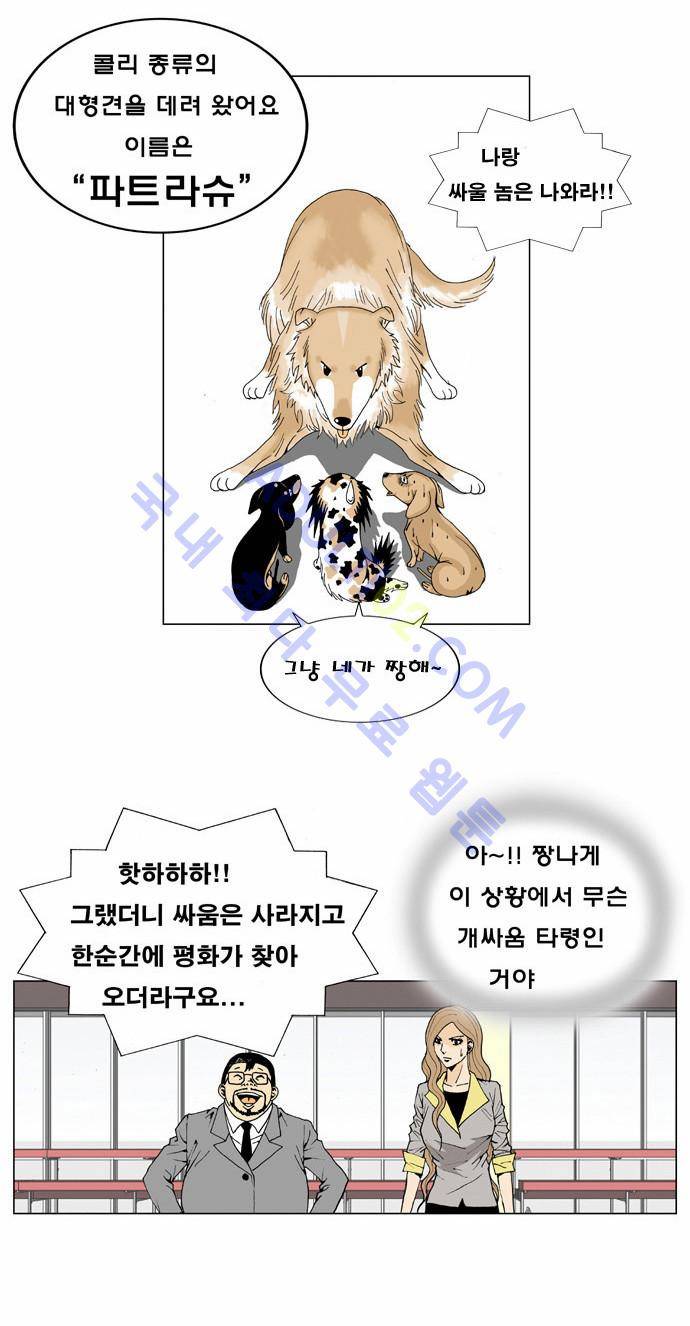 최강전설 강해효 (5) 13