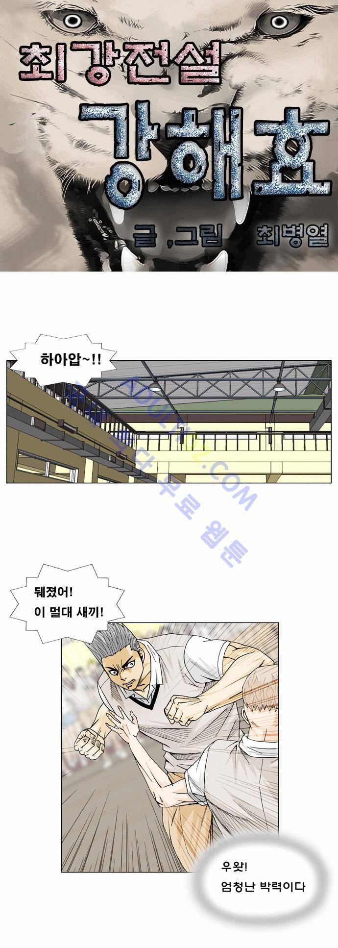 최강전설 강해효 (11) 2