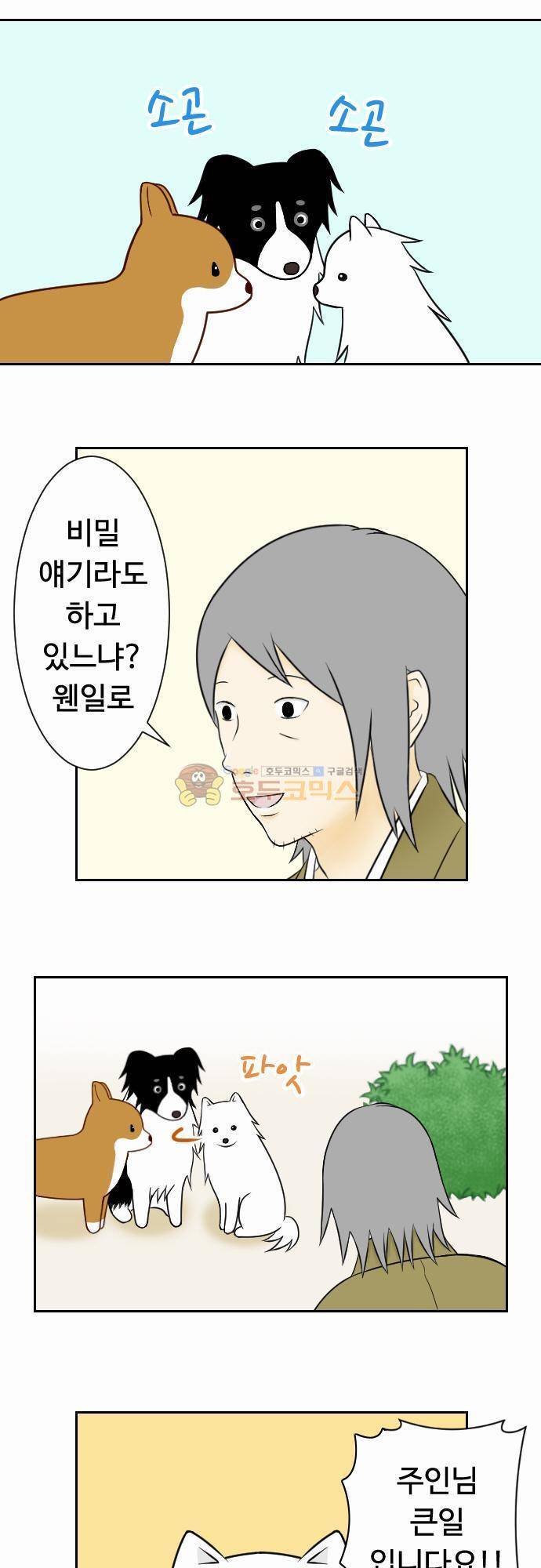 화이트 포메 38화 - 비밀 이야기 2