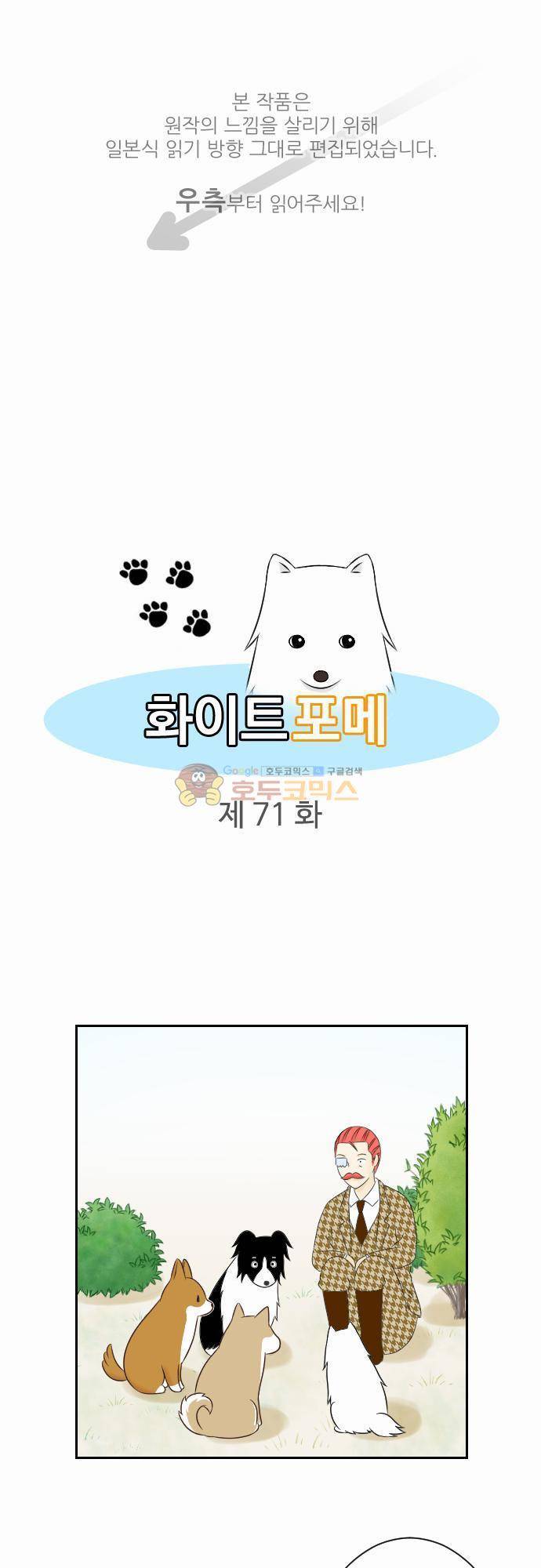 화이트 포메 71화 - 애완동물 1