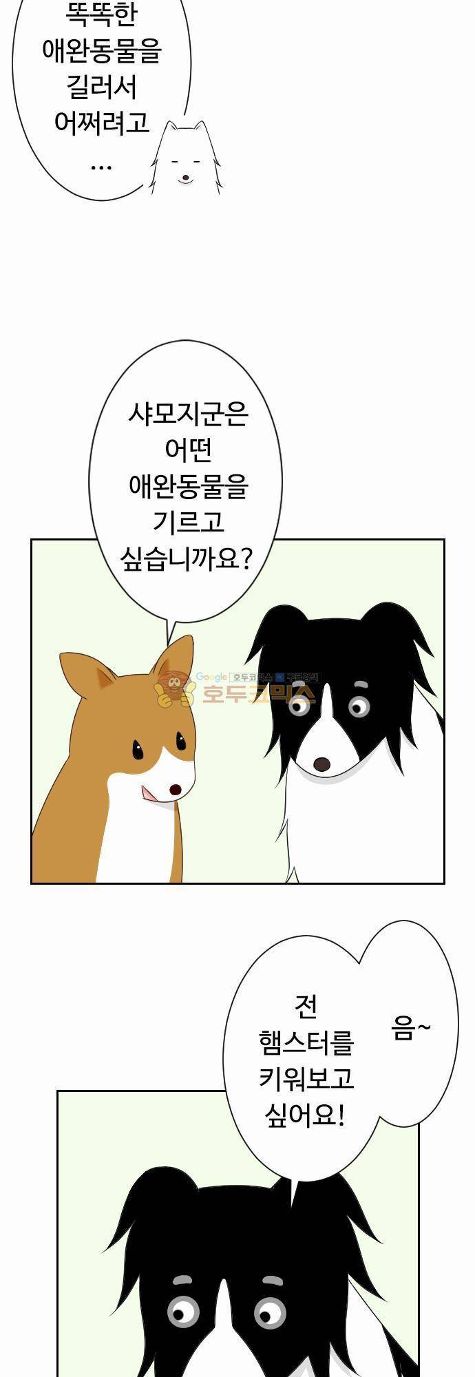 화이트 포메 71화 - 애완동물 3