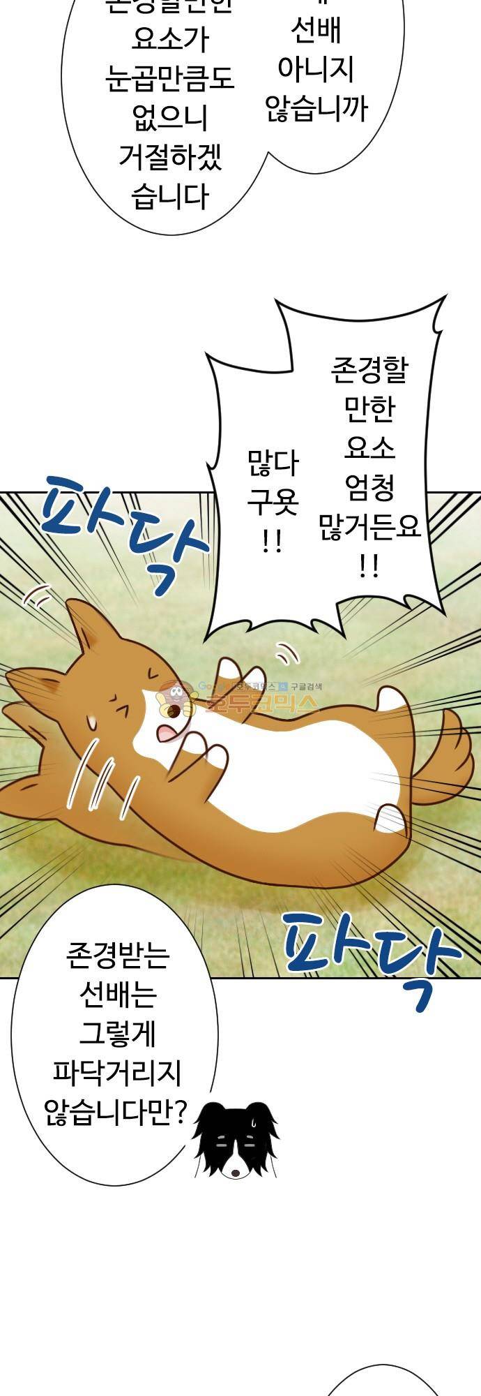 화이트 포메 131화 - 존경하는 선배 4