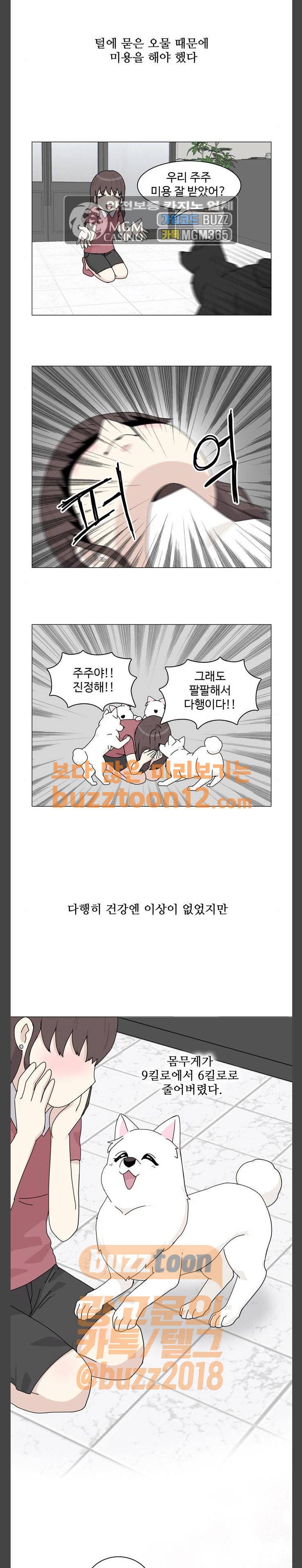 개를 낳았다 59화 2