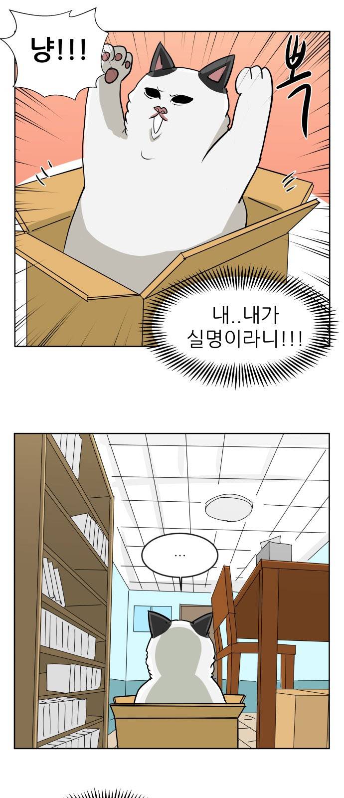 냥하무인 3화 - 집사 찾기 (3) 5
