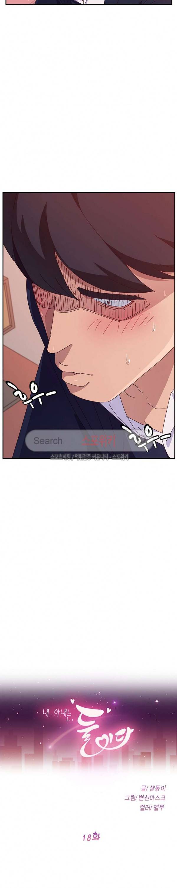내 아내는 둘이다 18화 2