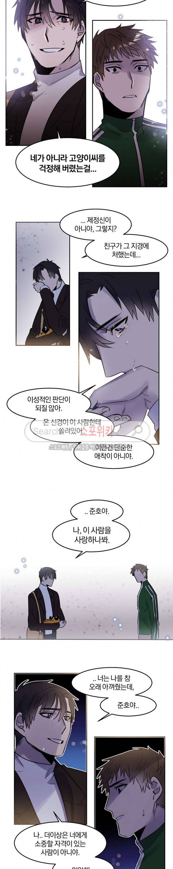 골판지 상자 안 고양이씨 24화 13