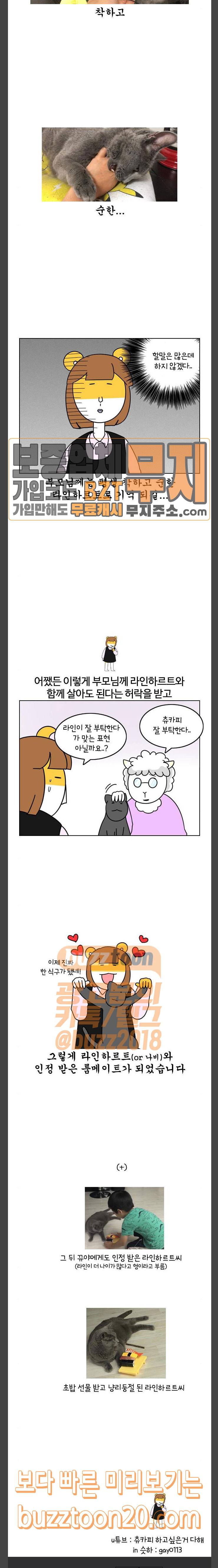 자취로운 생활 126화 허락 19