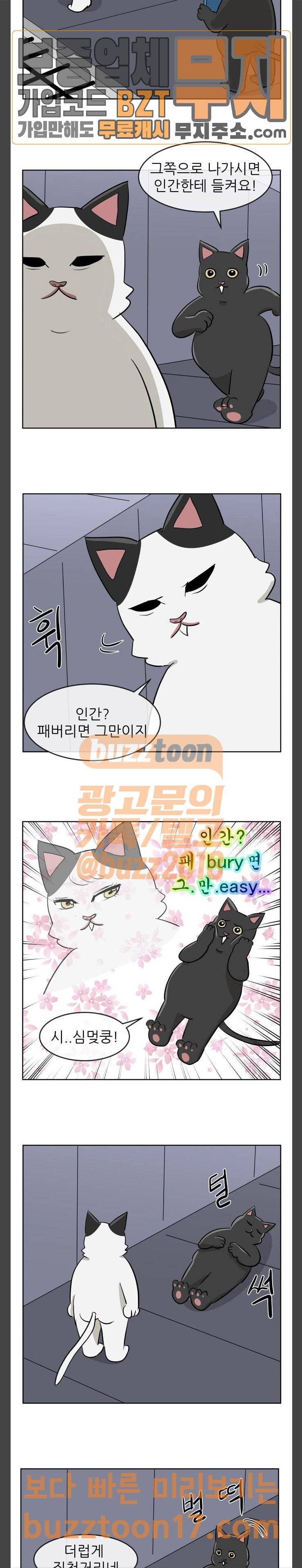 냥하무인 45화 3