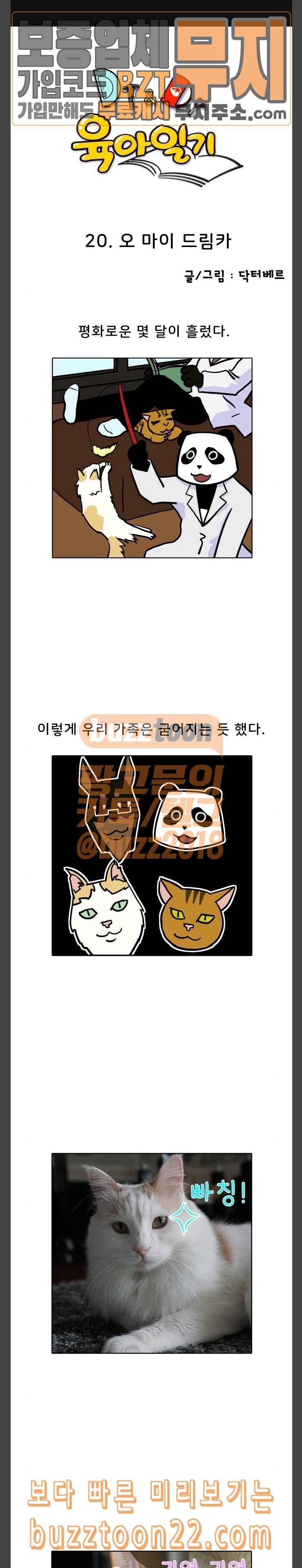 닥터앤닥터 육아일기 20 오 마이 드림카 1