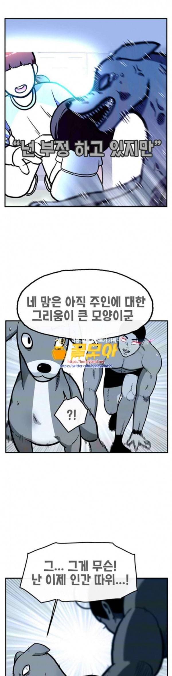 만물의 영장 32화 유기견 치코와 파이 3 1