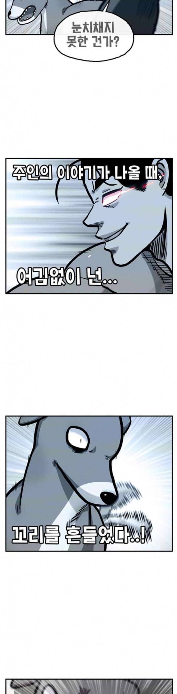 만물의 영장 32화 유기견 치코와 파이 3 2