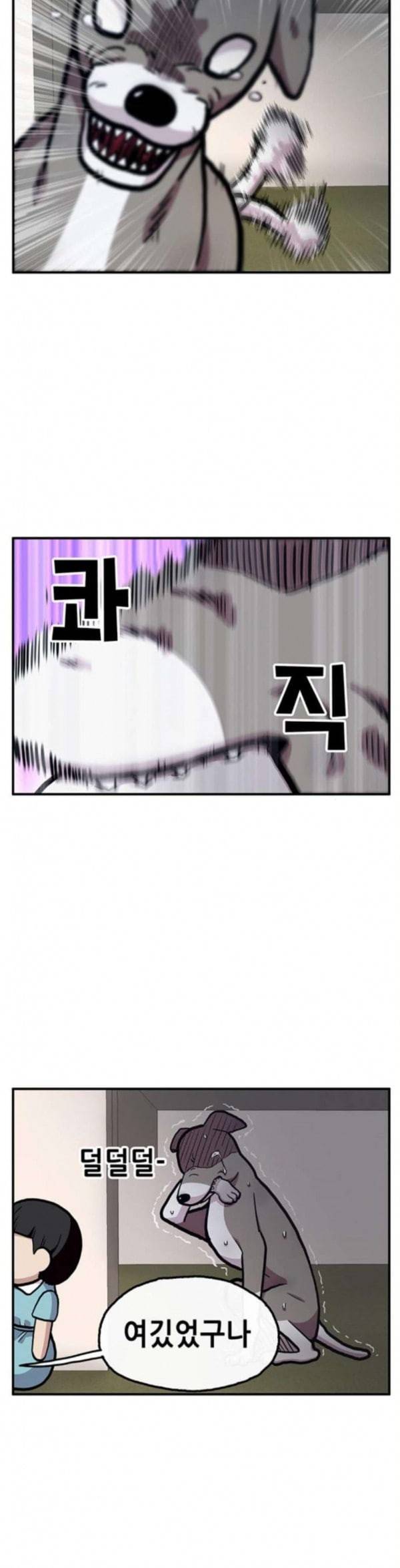 만물의 영장 32화 유기견 치코와 파이 3 3