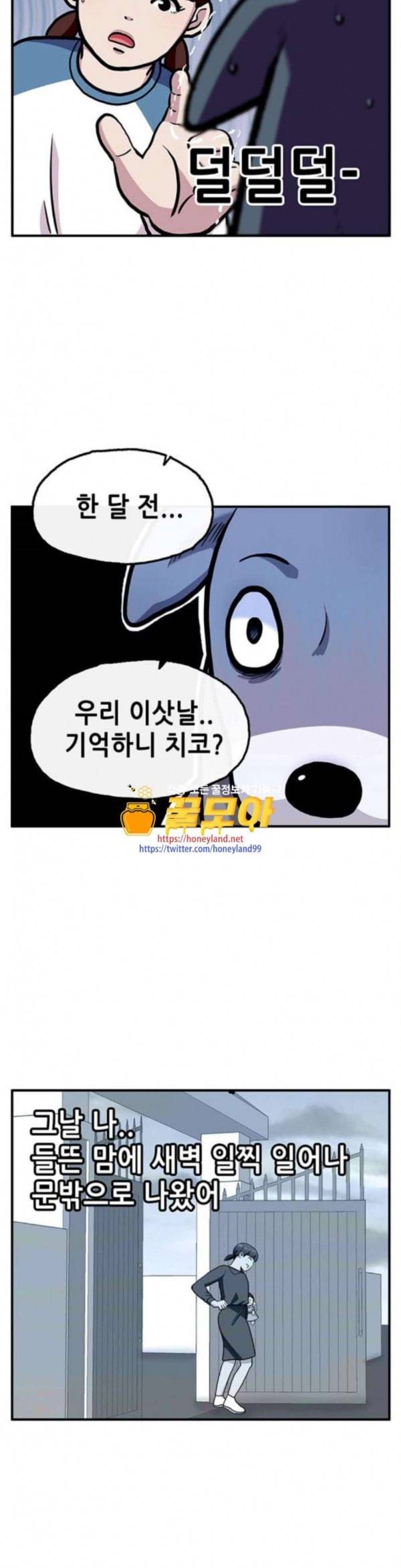 만물의 영장 32화 유기견 치코와 파이 3 6