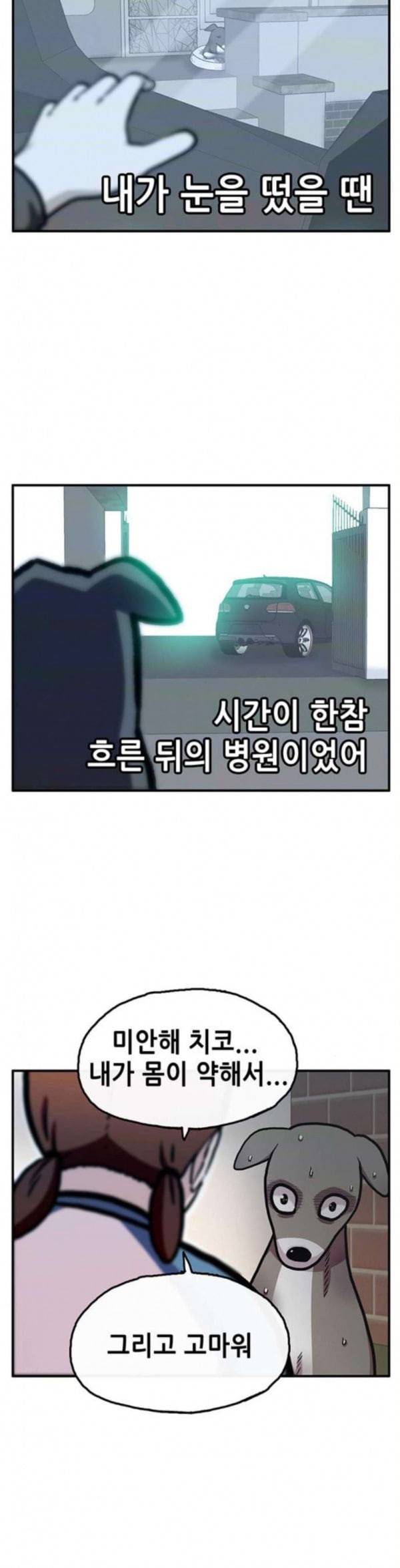 만물의 영장 32화 유기견 치코와 파이 3 10