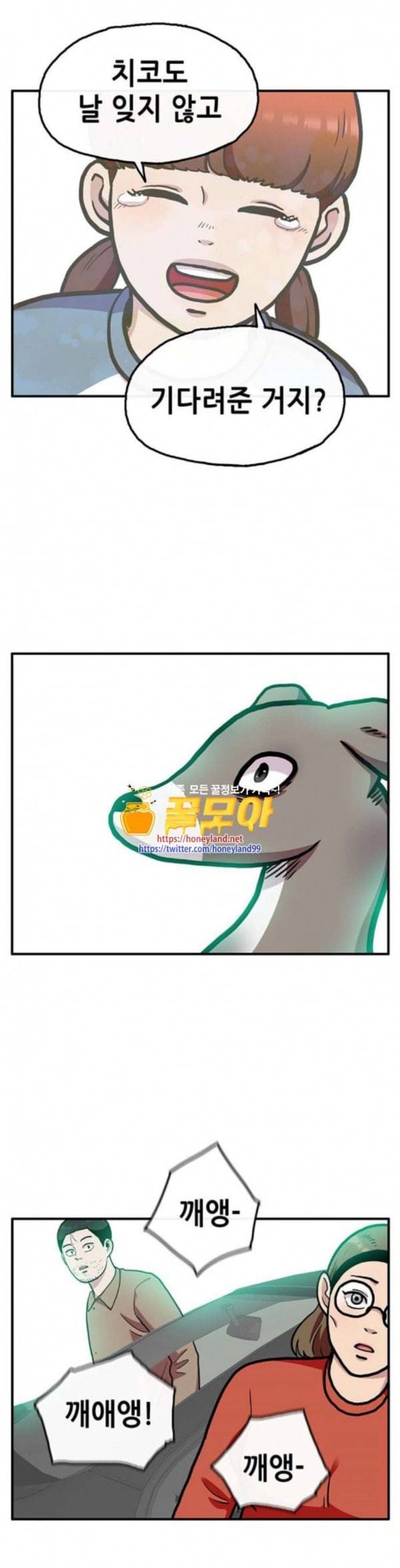 만물의 영장 32화 유기견 치코와 파이 3 11