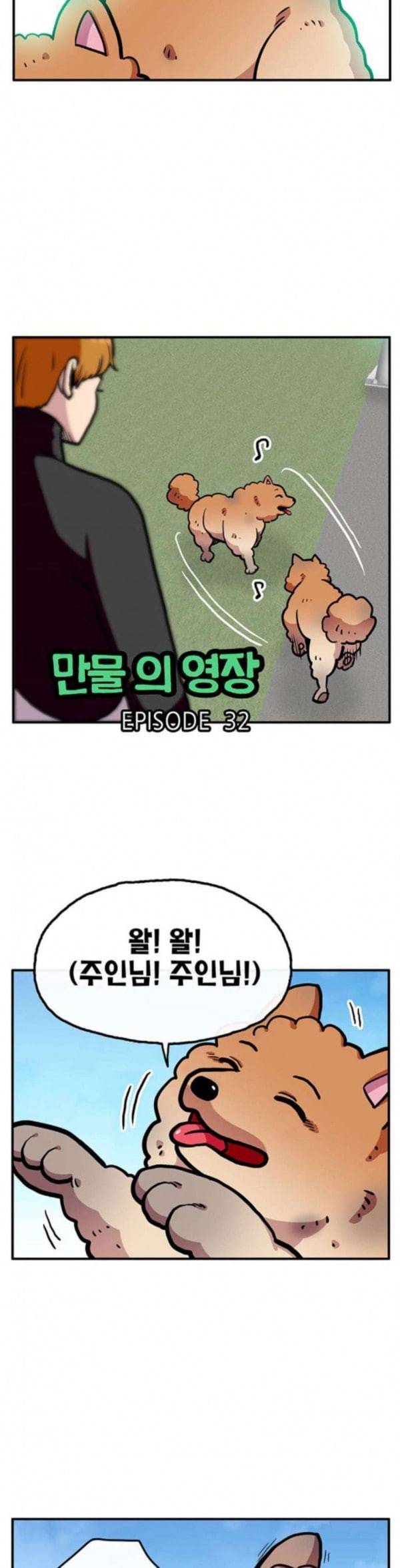 만물의 영장 32화 유기견 치코와 파이 3 13
