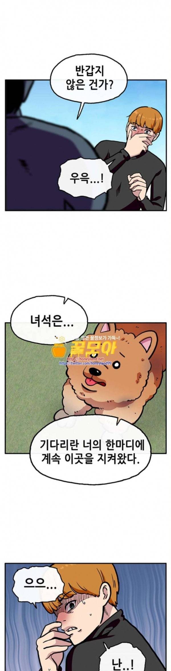 만물의 영장 32화 유기견 치코와 파이 3 16