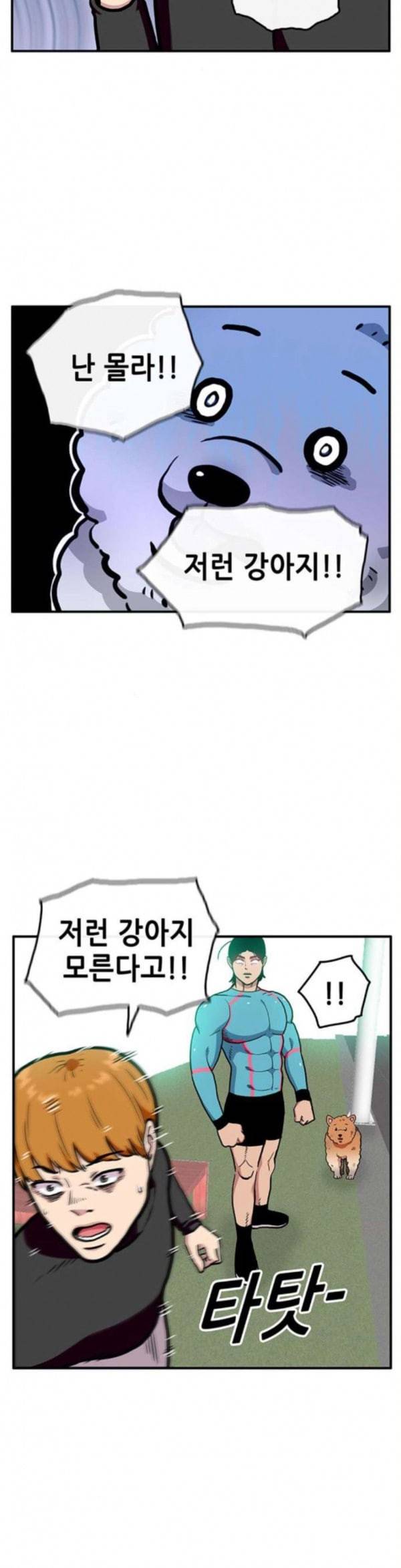 만물의 영장 32화 유기견 치코와 파이 3 17