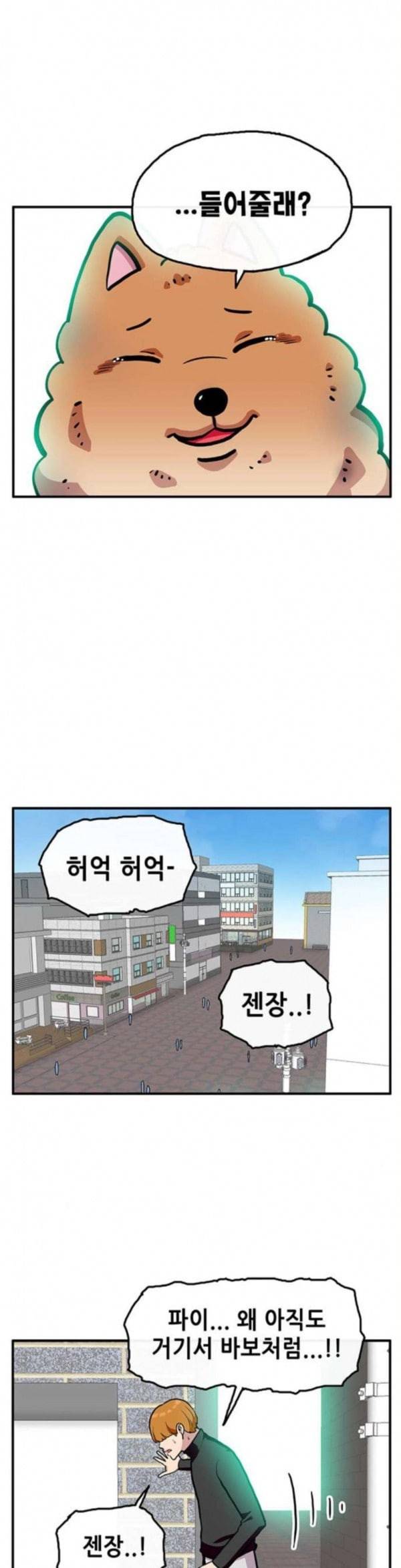 만물의 영장 32화 유기견 치코와 파이 3 19